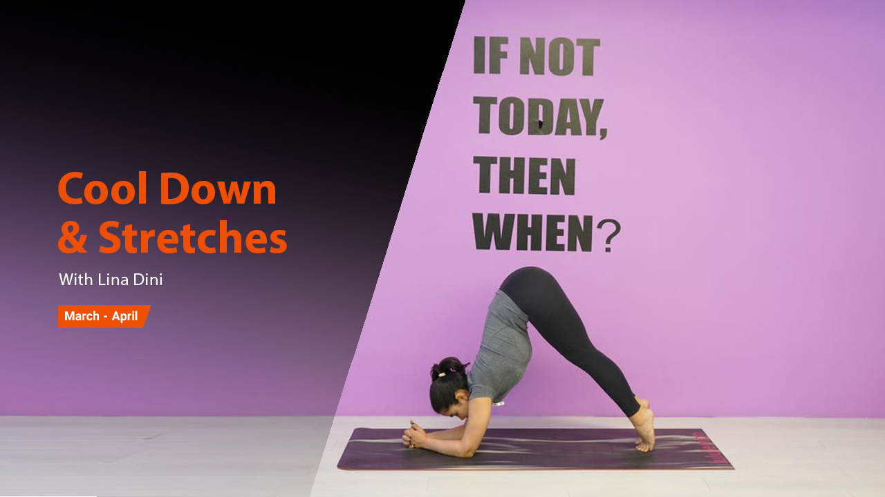 Cool Down & Stretches