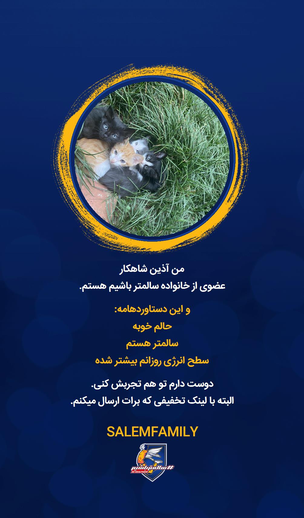 آذین شاهکار - سالمتر باشیم - سالم فمیلی